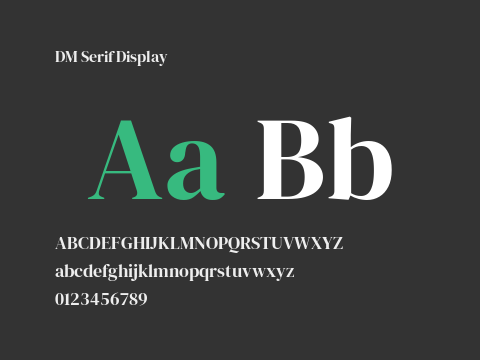 DM Serif Display