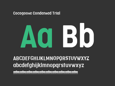 Cocogoose Condensed Trial