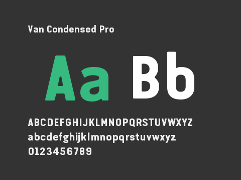 Van Condensed Pro