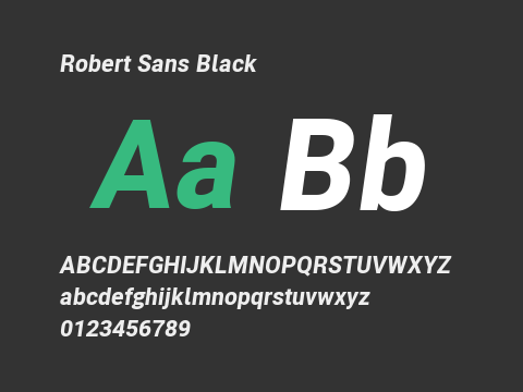 Robert Sans Black