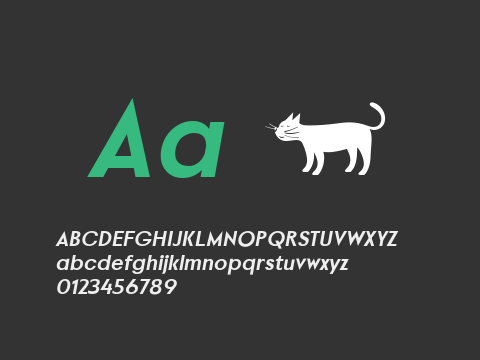 Povetarac Sans Black Italic