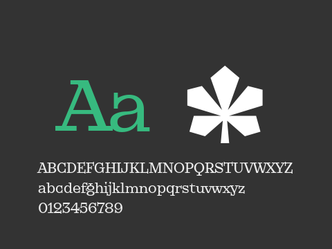 KyivType Serif Medium2