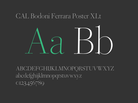 CAL Bodoni Ferrara Poster XLt