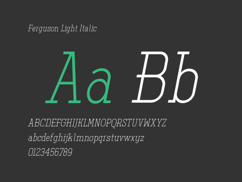 Ferguson Light Italic