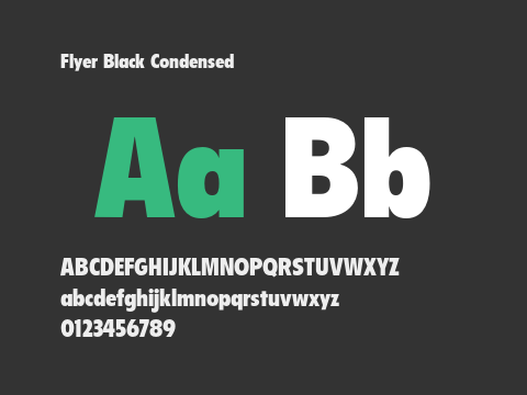 Flyer Black Condensed