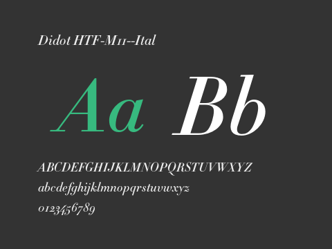 Didot HTF-M11--Ital