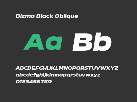 Bizmo Black Oblique