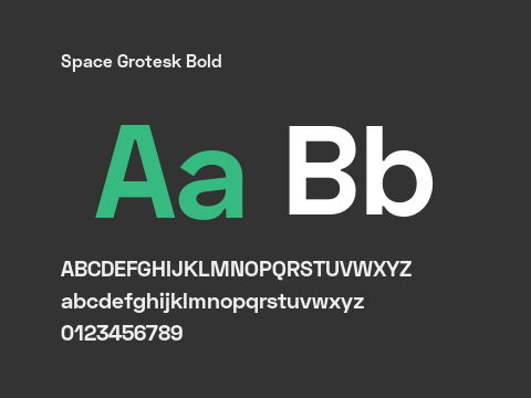 Space Grotesk Bold