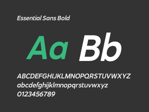 Essential Sans Bold