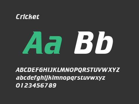 Cricket