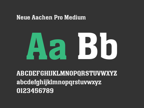 Neue Aachen Pro Medium