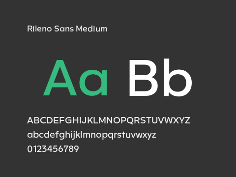 Rileno Sans Medium