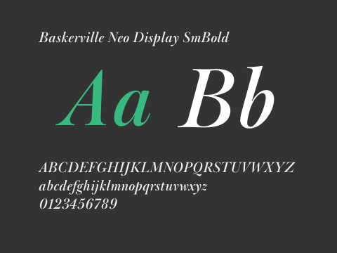 Baskerville Neo Display SmBold