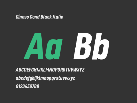 Gineso Cond Black Italic