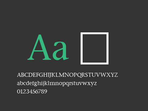 Stone Serif