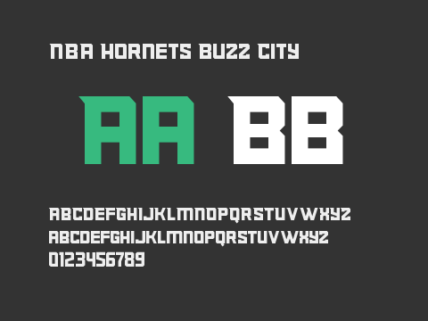 NBA Hornets Buzz City