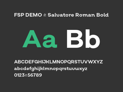 FSP DEMO - Salvatore Roman Bold