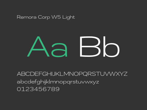 Remora Corp W5 Light