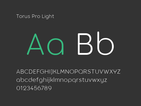 Torus Pro Light