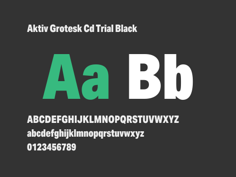 Aktiv Grotesk Cd Trial Black