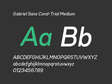 Gabriel Sans Cond-Trial Medium