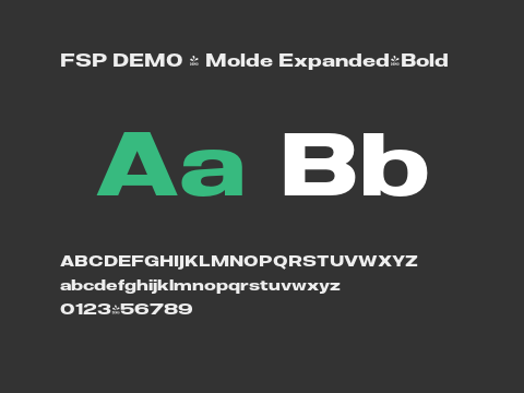 FSP DEMO - Molde Expanded-Bold