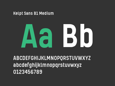 Kelpt Sans B1 Medium