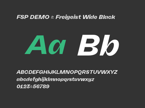 FSP DEMO - Freigeist Wide Black