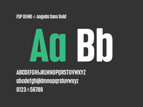 FSP DEMO - Anguita Sans Bold