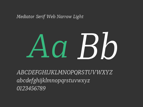 Mediator Serif Web Narrow Light