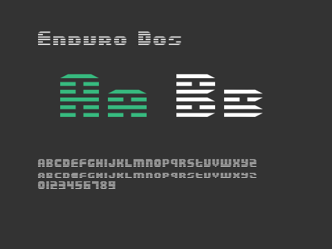 Enduro Dos