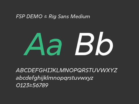 FSP DEMO - Rig Sans Medium