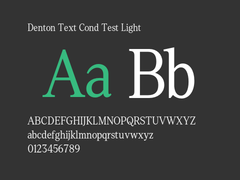 Denton Text Cond Test Light