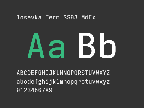 Iosevka Term SS03 MdEx