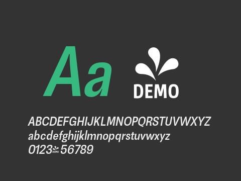 FSP DEMO - Nr Medium