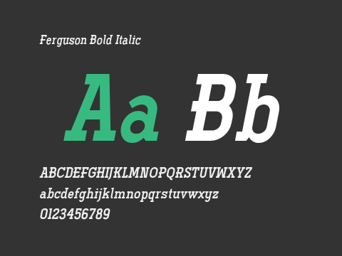 Ferguson Bold Italic