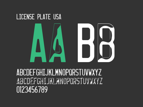 LICENSE PLATE USA