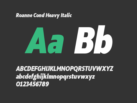 Roanne Cond Heavy Italic