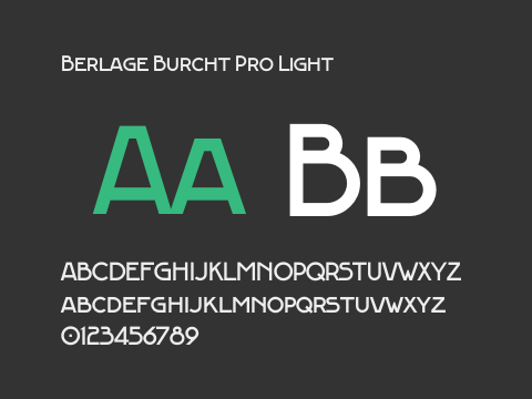 Berlage Burcht Pro Light