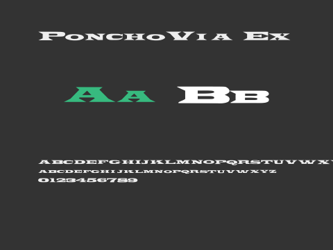 PonchoVia Ex