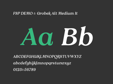 FSP DEMO - Grobek Alt Medium It