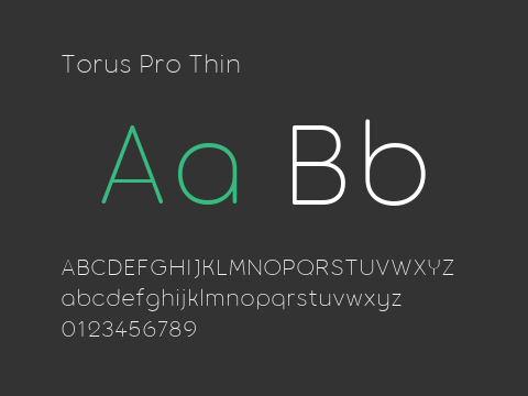 Torus Pro Thin