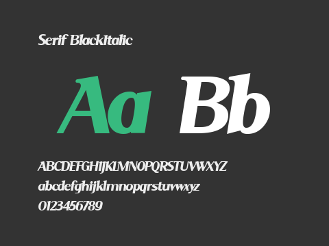 Serif BlackItalic