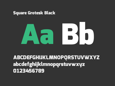 Square Grotesk Black