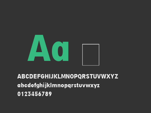 DigiGrotesk LT BoldCondensed