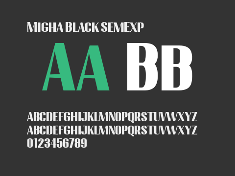 Migha Black SemExp