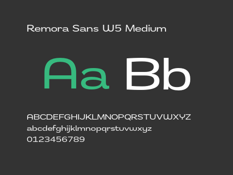 Remora Sans W5 Medium