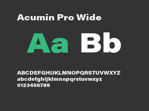 Acumin Pro Wide