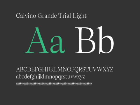 Calvino Grande Trial Light