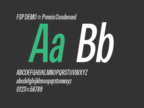 FSP DEMO - Premis Condensed